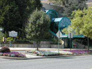 Libraries seek items for personal care pantries