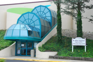 County libraries to celebrate Black History Month