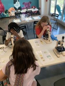 Shelter uses STEM to educate kids on animals